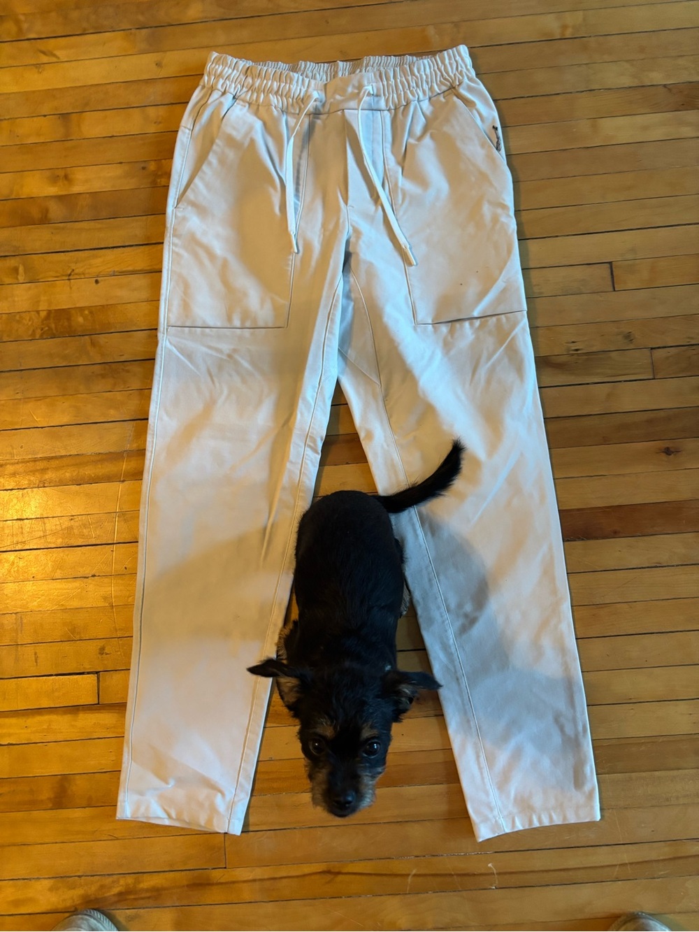 lululemon Men’s White Drawstring Pants Size Small Casual Athletic